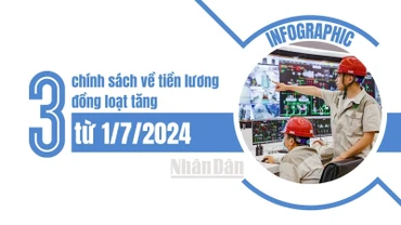 [Infographic] 3 chính sách về tiền lương đồng loạt tăng từ 1/7/2024