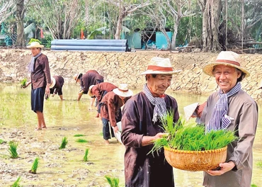 Mô hình cho mượn đất để trồng lúa của cựu chiến binh Trần Bá Sanh nhằm tạo kinh phí giúp các hội viên khó khăn.