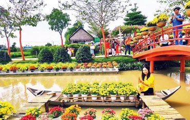 Du khách tham quan, trải nghiệm “Cánh đồng hoa hồng” ở thành phố Sa Đéc.