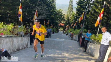 Vận động viên tham dự giải.