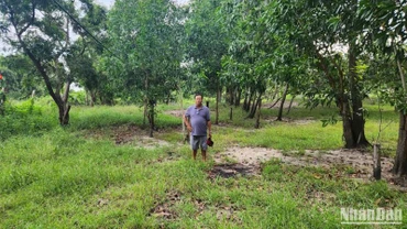 Lô đất tranh chấp.