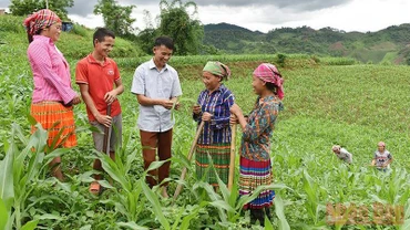 Hướng dẫn người dân bản Tà Han, xã Xuân Lạc, huyện Chợ Đồn, Bắc Kạn, trồng ngô năng suất cao. (Ảnh: Trần Hải)