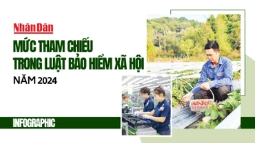 [Infographic] Mức tham chiếu trong Luật Bảo hiểm xã hội năm 2024