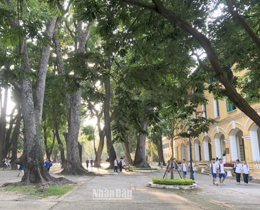 Sân trường. (Ảnh minh họa: VIỆT DŨNG)