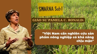 Giáo sư Pamela C. Ronald. (Ảnh: wikipedia)
