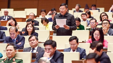 Đại biểu Quốc hội tỉnh Vĩnh Phúc phát biểu thảo luận về Luật Đất đai (sửa đổi). (Ảnh DUY LINH)