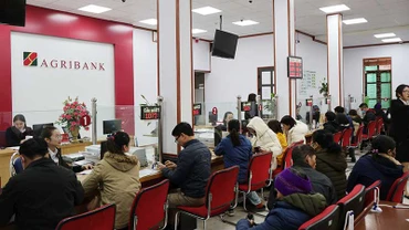 Khách hàng giao dịch tại chi nhánh ngân hàng Agribank.