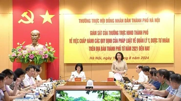 Phó Chủ tịch Ủy ban nhân dân thành phố Hà Nội Vũ Thu Hà phát biểu tại cuộc làm việc.