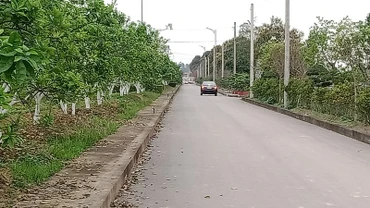 Nghĩa trang sinh thái Ngân Hà Viên được đầu tư xây dựng khang trang, nhiều cây xanh.