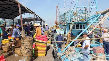 Tỉnh Bến Tre tập trung quản lý chặt chẽ tàu cá hoạt động khai thác hải sản trên biển.