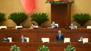 Phó Thủ tướng Chính phủ Lê Thành Long phát biểu tiếp thu, giải trình nội dung đại biểu Quốc hội nêu. (Ảnh: BÙI GIANG)