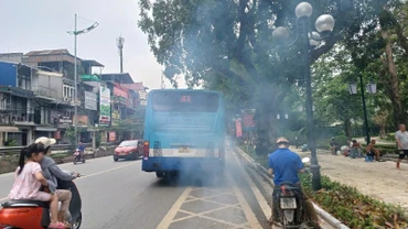 Khí thải từ xe ô-tô gây ô nhiễm không khí.