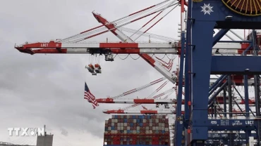 Tàu container cập cảng Long Beach ở California, Mỹ. (Ảnh: THX/TTXVN)