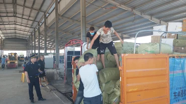 Hải quan Móng Cái kiểm soát việc bốc xếp hàng hóa tại Bãi Kiểm hóa Bắc Luân 2.
