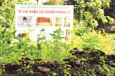 Hơn 10 năm sau khai quật, khảo cổ, hiện nay Di chỉ khảo cổ Chăm Phong Lệ đang tiếp tục bị hoang hóa.