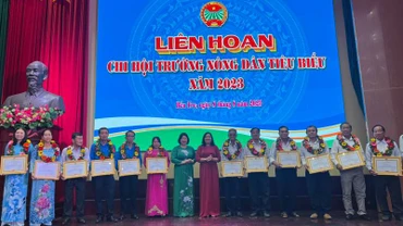 Lãnh đạo tham dự Liên hoan tặng bằng khen cho Chi hội trưởng nông dân có thành tích xuất sắc.
