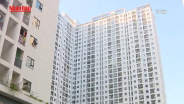 [Video] TP Hồ Chí Minh ưu tiên nữ giới, cán bộ dám nghĩ, dám làm khi mua nhà ở xã hội