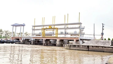 Cống Xuân Hòa, xã Xuân Đông, huyện Chợ Gạo (Tiền Giang) vận hành lấy nước ngọt cho vùng ngọt hóa Gò Công. Ảnh: NGUYỄN SỰ
