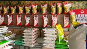 Tính đến hết ngày 28/5/2025, Chính phủ đã hỗ trợ gần 2 nghìn tấn gạo cho người dân dịp giáp hạt đầu năm 2025. (Ảnh: T.T)