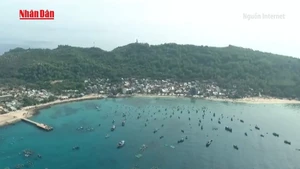[Video] Thủ tướng chỉ đạo quyết liệt chống khai thác thủy sản bất hợp pháp