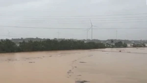 [Video] Gần 63.000 ha đất nông nghiệp Trung Bộ bị ngập úng do ảnh hưởng bão số 1