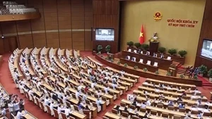 [Video] Quốc hội thông qua Luật Thuế tiêu thụ đặc biệt (sửa đổi)