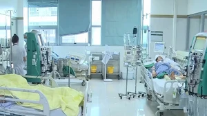 [Video] Cá thể hóa trong kê đơn thuốc ngoại trú, bảo đảm sát tình trạng người bệnh