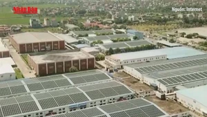 [Video] Đề xuất hỗ trợ tối đa 2,5 triệu đồng cho hộ dân lắp điện mặt trời mái nhà
