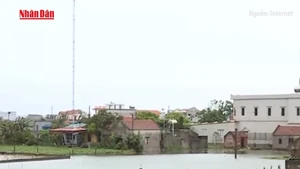 [Video] Thanh Hóa, Nghệ An tiếp tục mưa lớn, thiệt hại nặng do lũ lụt