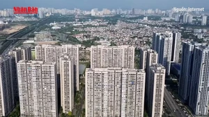[Video] Xử lý vướng mắc quy hoạch tại khu vực hình thành đô thị sau sắp xếp đơn vị hành chính