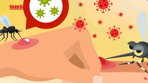 [Video] Chủ động ngăn chặn dịch Chikungunya ngay từ cửa khẩu và cơ sở y tế