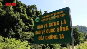[Video] Nghệ An cảnh báo nguy cơ cháy rừng cấp độ cao