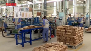[Video] Ngành gỗ chủ động ứng phó phòng vệ thương mại, hướng tới mục tiêu xuất khẩu 18 tỷ USD