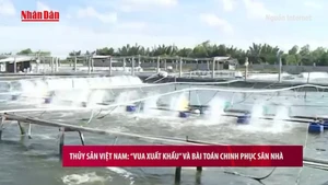 [Video] Thủy sản Việt Nam: “Vua xuất khẩu” và bài toán chinh phục sân nhà