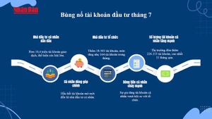 [Video] Tài khoản chứng khoán mở mới tăng vọt khi VN-Index lập đỉnh