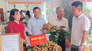 Vấn đề đầu ra cho sản phẩm nông sản luôn là bài toán cần tháo gỡ cho doanh nghiệp, nhà sản xuất và hộ nông dân ở Hưng Yên.