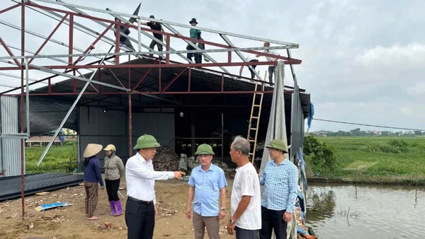 Lãnh đạo huyện Vĩnh Tường chỉ đạo tháo dỡ công trình vi phạm tại xã Lũng Hòa.