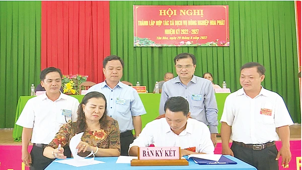 Bí thư Huyện ủy Thanh Bình, Cao Thanh Xuân (đứng thứ 2 từ phải qua) tham dự Hội nghị thành lập hợp tác xã tại xã Tân Hòa.