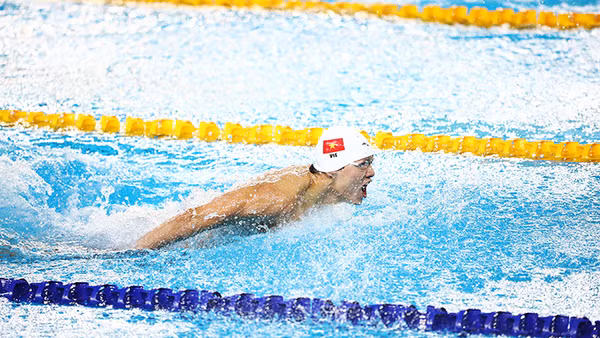 Bơi lội Việt Nam sẵn sàng vươn lên những đỉnh cao mới sau SEA Games. Ảnh: NHƯ ĐẠT
