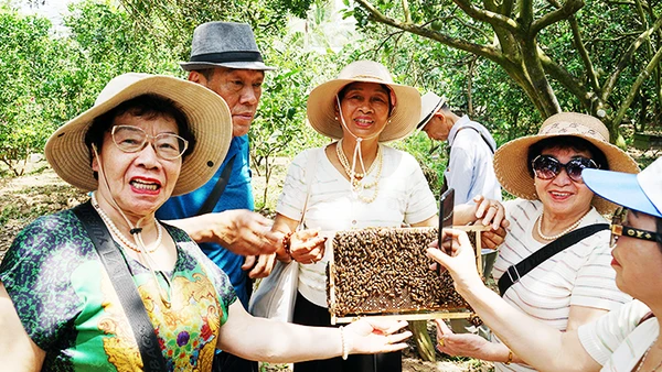 Thích thú với các tổ ong mật.