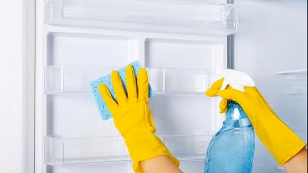 Vệ sinh tủ lạnh định kỳ.