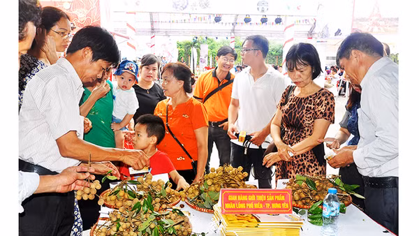 Quảng bá trái nhãn lồng Hưng Yên đến người tiêu dùng trên cả nước. Ảnh: HUY TƯỞNG