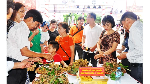 Quảng bá trái nhãn lồng Hưng Yên đến người tiêu dùng trên cả nước. Ảnh: HUY TƯỞNG