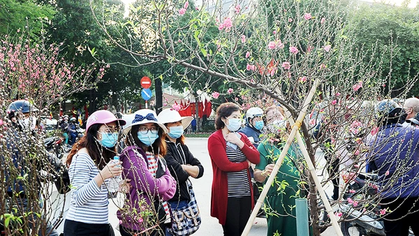 Chợ hoa Tết năm 2020. Ảnh: NGUYỄN HẢI