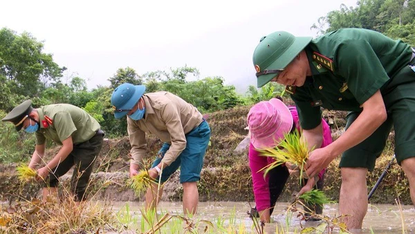 Hơ Văn Xá cùng lực lượng vũ trang ở huyện Mường Lát cấy lúa giúp dân.