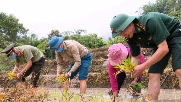 Hơ Văn Xá cùng lực lượng vũ trang ở huyện Mường Lát cấy lúa giúp dân.