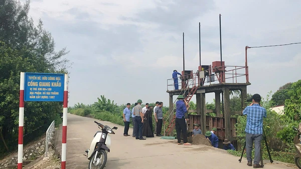 Lãnh đạo huyện Tiên Lãng và các ngành chức năng thường xuyên kiểm tra an toàn đê điều và các công trình xung yếu đề phòng bão lũ. (Ảnh: Cổng Thông tin điện tử Tiên Lãng)