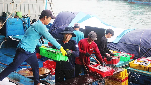 Chuyến bám biển thắng lợi ngày áp Tết.