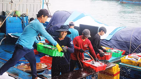 Chuyến bám biển thắng lợi ngày áp Tết.