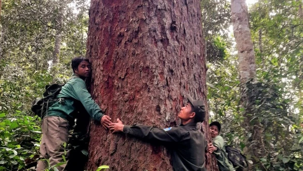 Lực lượng kiểm lâm cùng người dân địa phương khảo sát, bảo vệ rừng ở Tây Giang. Ảnh: ALăng Ngước